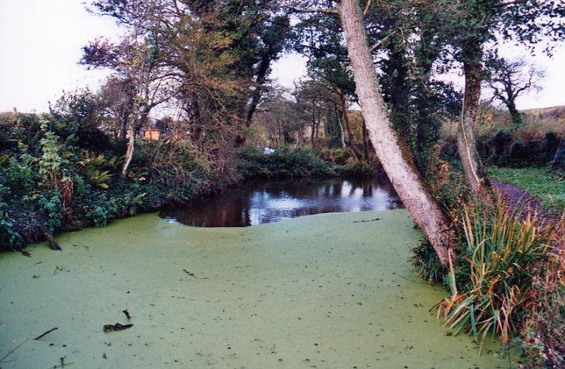 09canalscan089.jpg