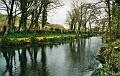 budecanal067