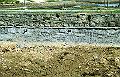 budecanalnew149