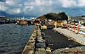 budecanal019