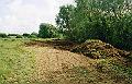 budecanal001