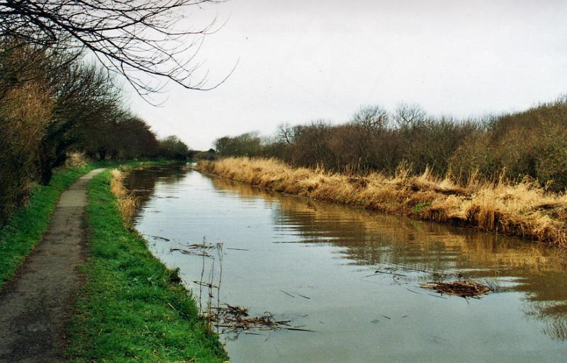 budecanal062.jpg