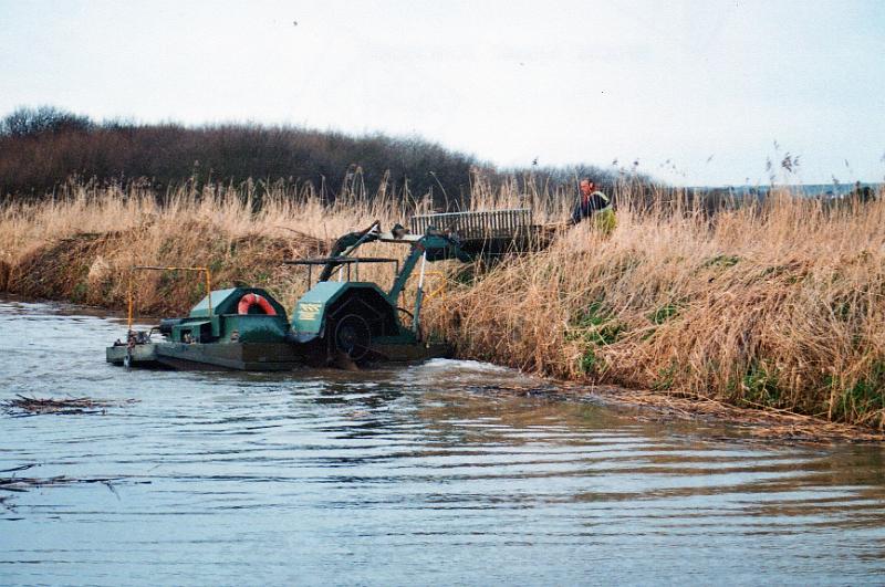 budecanal503.jpg