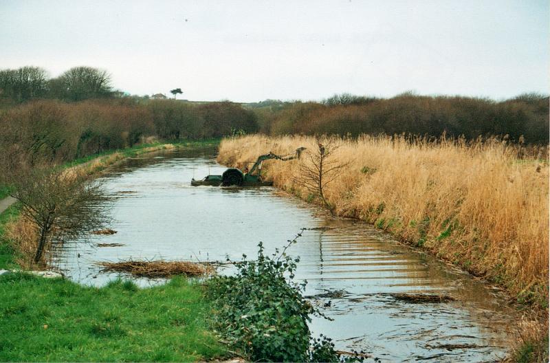 budecanal504.jpg