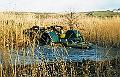 budecanal059