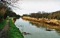 budecanal062