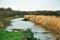 budecanal504