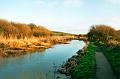 budecanal505