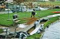 budecanal532