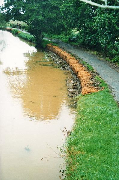 budecanal522.jpg