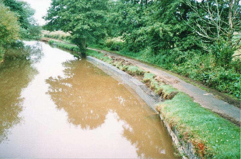 budecanal523.jpg