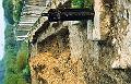 budecanal066