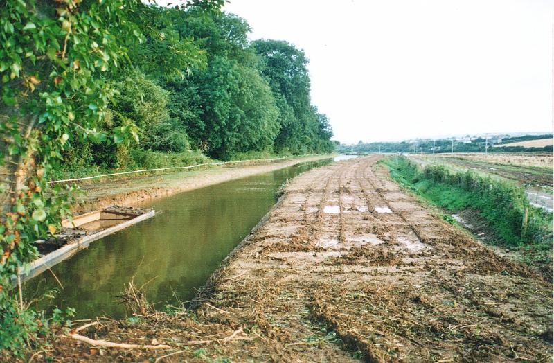 budecanal516.jpg