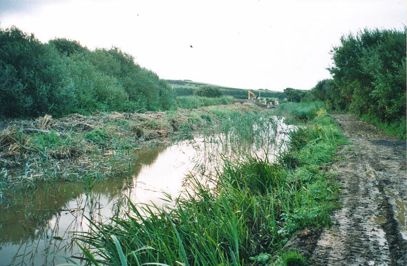 budecanal518.jpg