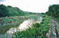 budecanal518