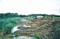 budecanal519