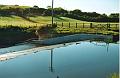 budecanal515