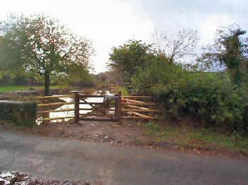 Virworthy towpath, looking towards Bude