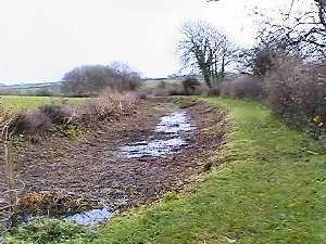 Canal clearance leading away from Virworthy Wharf