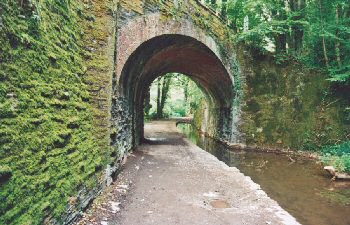 The skew bridge on the Cann Quarry Canal at Plymbridge. Photo: Chris Jewell